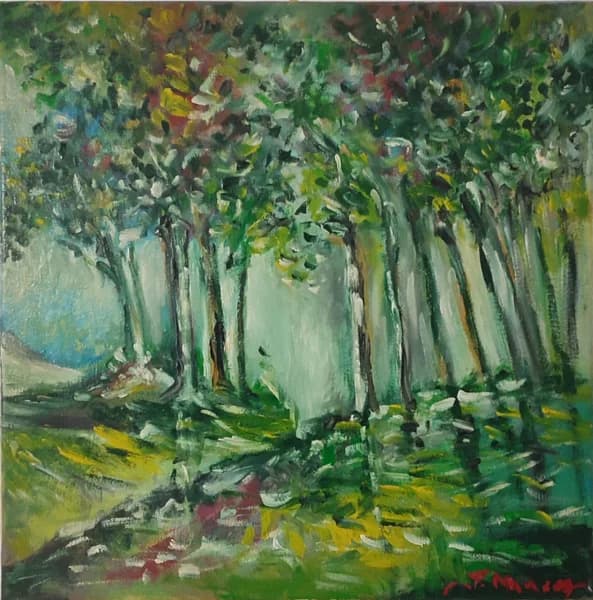 Pădure luminoasă