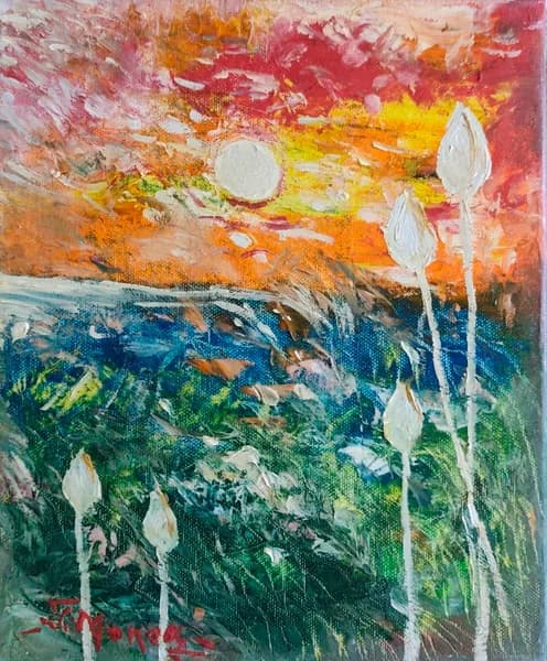 La luce che sboccia