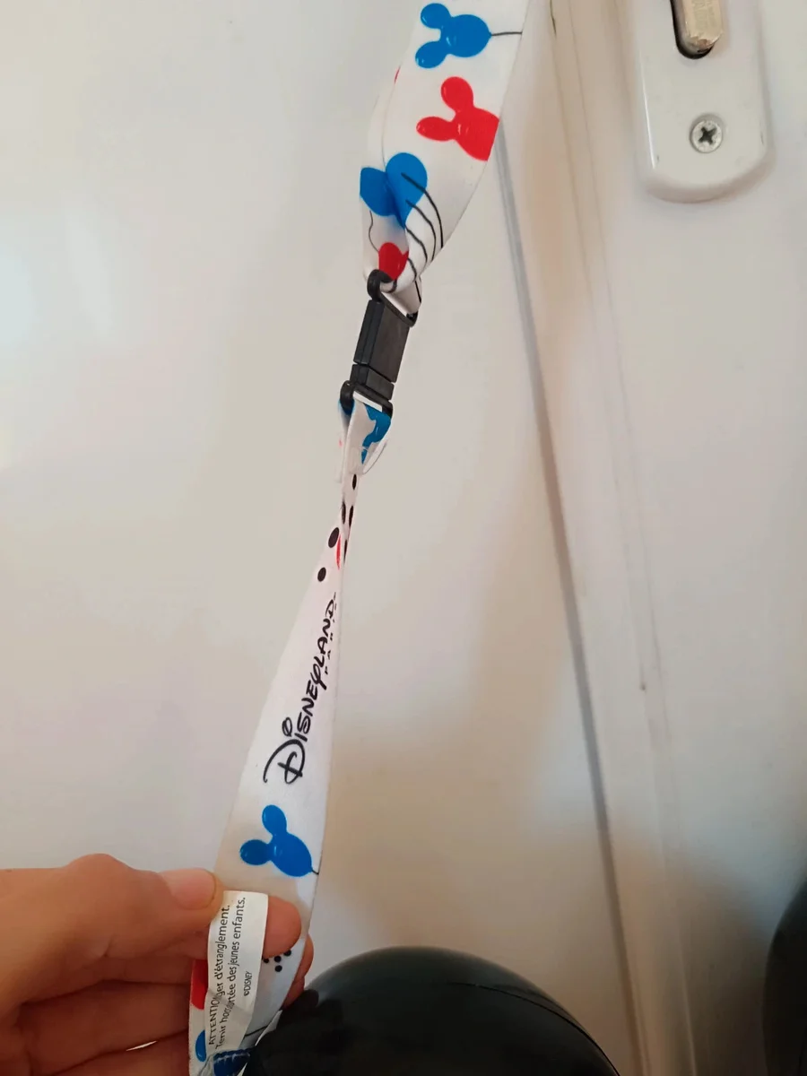 Geantă Crossbody Disney Parks Donald Duck - Stare Bună (2)